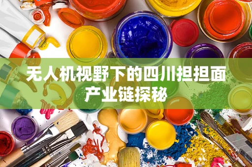 无人机视野下的四川担担面产业链探秘