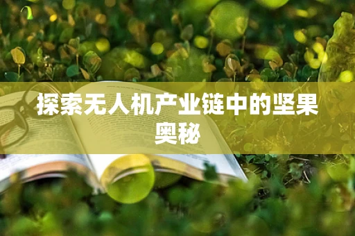 探索无人机产业链中的坚果奥秘
