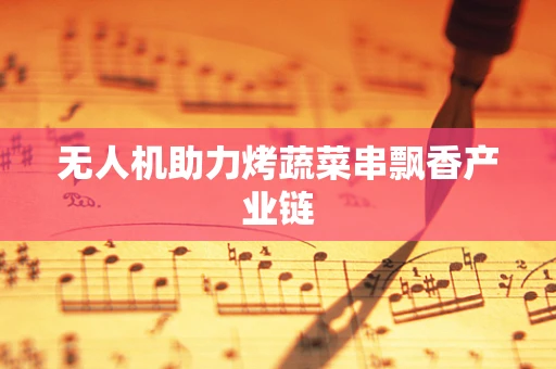 无人机助力烤蔬菜串飘香产业链