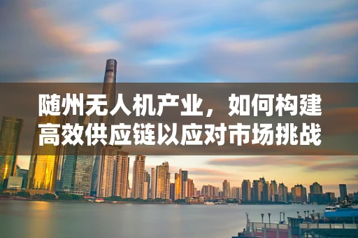 随州无人机产业，如何构建高效供应链以应对市场挑战？
