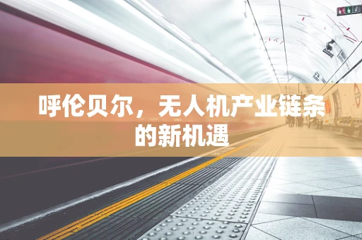 呼伦贝尔，无人机产业链条的新机遇