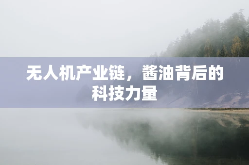 无人机产业链，酱油背后的科技力量