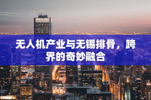 无人机产业与无锡排骨，跨界的奇妙融合