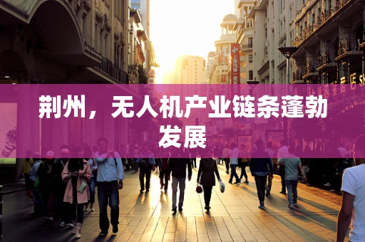 荆州，无人机产业链条蓬勃发展
