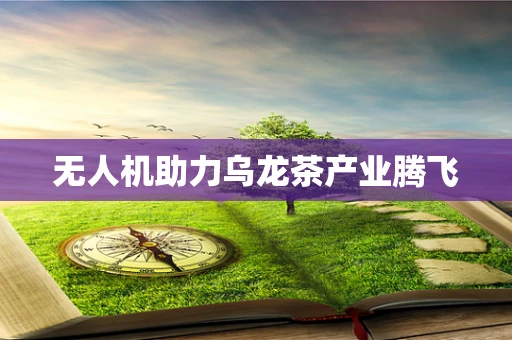 无人机助力乌龙茶产业腾飞