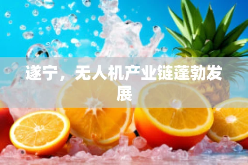 遂宁，无人机产业链蓬勃发展