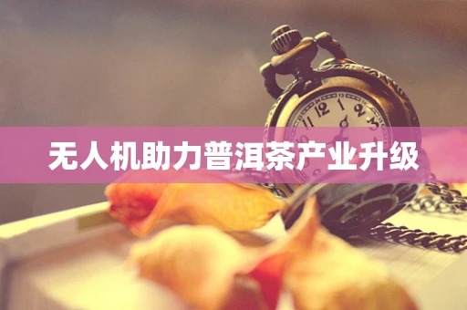无人机助力普洱茶产业升级
