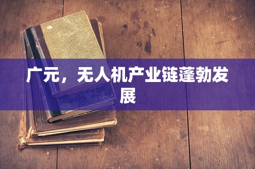 广元，无人机产业链蓬勃发展