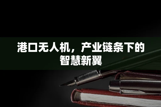 港口无人机，产业链条下的智慧新翼
