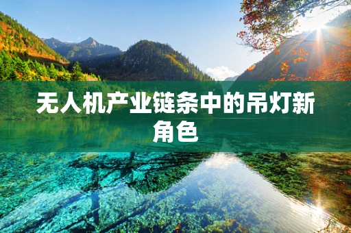 无人机产业链条中的吊灯新角色