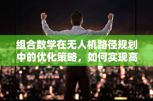 组合数学在无人机路径规划中的优化策略，如何实现高效避障？