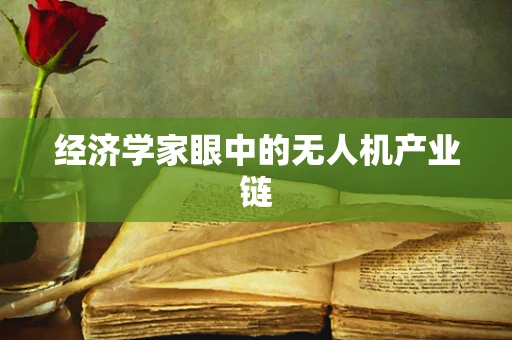 经济学家眼中的无人机产业链