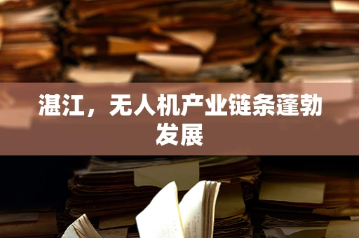 湛江，无人机产业链条蓬勃发展