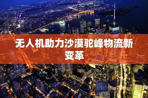 无人机助力沙漠驼峰物流新变革