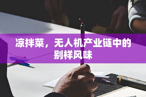 凉拌菜，无人机产业链中的别样风味
