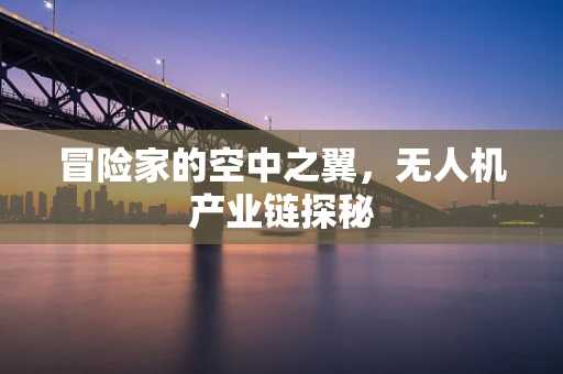 冒险家的空中之翼，无人机产业链探秘