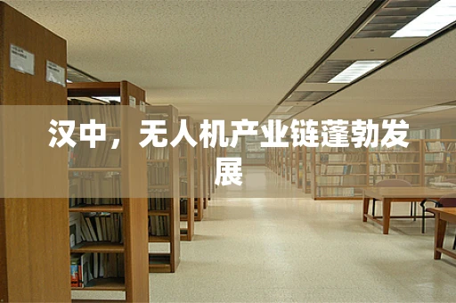 汉中，无人机产业链蓬勃发展