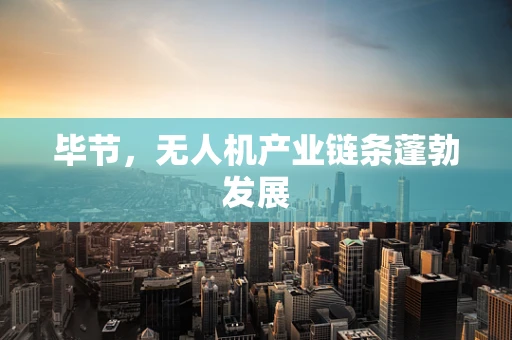 毕节，无人机产业链条蓬勃发展