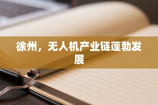 徐州，无人机产业链蓬勃发展