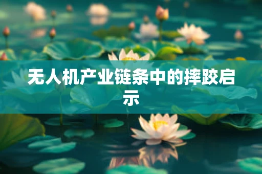 无人机产业链条中的摔跤启示