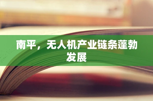 南平，无人机产业链条蓬勃发展
