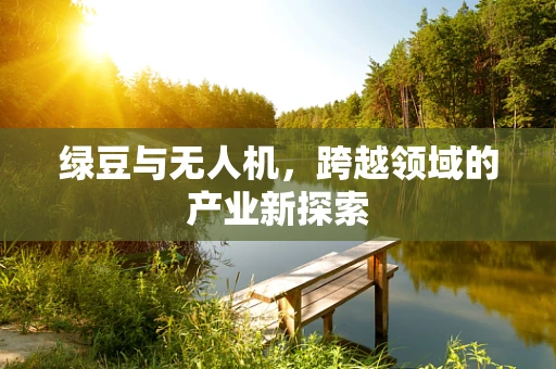 绿豆与无人机，跨越领域的产业新探索