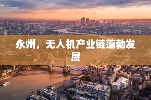 永州，无人机产业链蓬勃发展