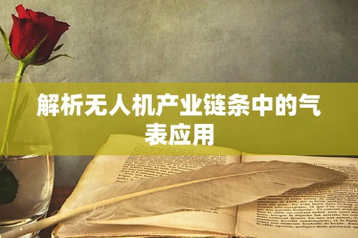 解析无人机产业链条中的气表应用