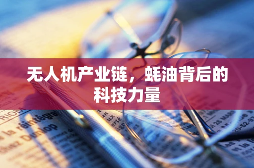 无人机产业链，蚝油背后的科技力量