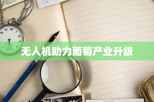 无人机助力葡萄产业升级