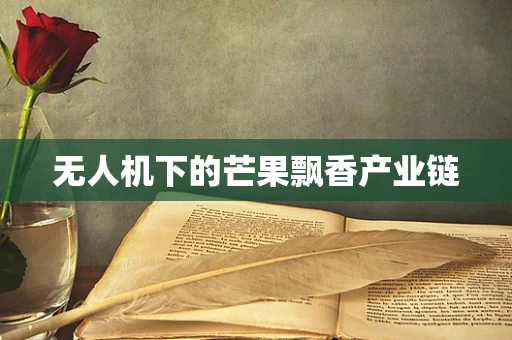 无人机下的芒果飘香产业链
