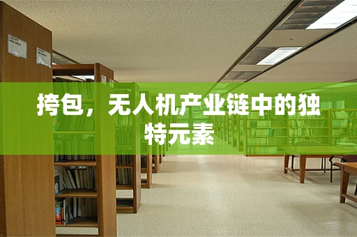 挎包，无人机产业链中的独特元素