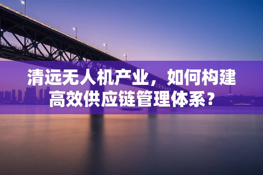 清远无人机产业，如何构建高效供应链管理体系？