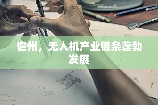 儋州，无人机产业链条蓬勃发展