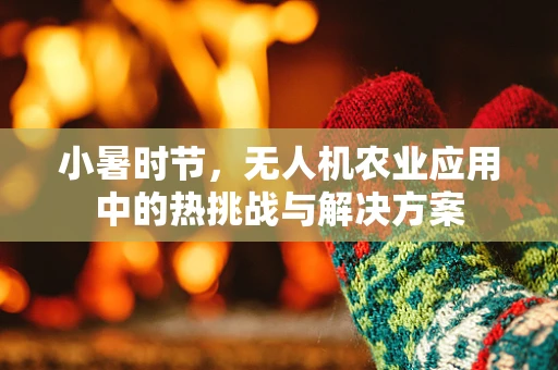 小暑时节，无人机农业应用中的热挑战与解决方案
