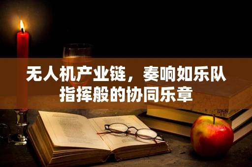 无人机产业链，奏响如乐队指挥般的协同乐章