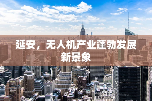 延安，无人机产业蓬勃发展新景象