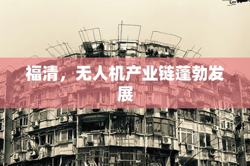 福清，无人机产业链蓬勃发展