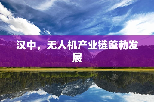 汉中，无人机产业链蓬勃发展