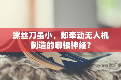 螺丝刀虽小，却牵动无人机制造的哪根神经？