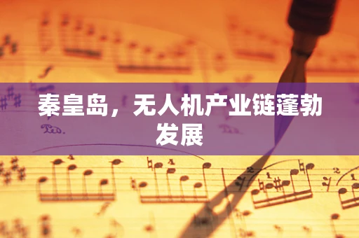 秦皇岛，无人机产业链蓬勃发展