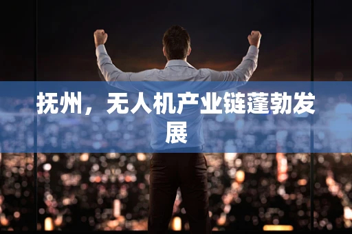 抚州，无人机产业链蓬勃发展