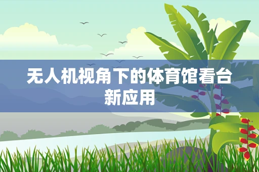 无人机视角下的体育馆看台新应用