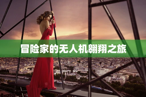 冒险家的无人机翱翔之旅