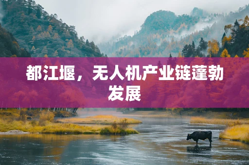 都江堰，无人机产业链蓬勃发展