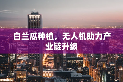 白兰瓜种植，无人机助力产业链升级