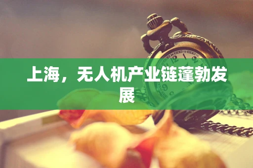上海，无人机产业链蓬勃发展