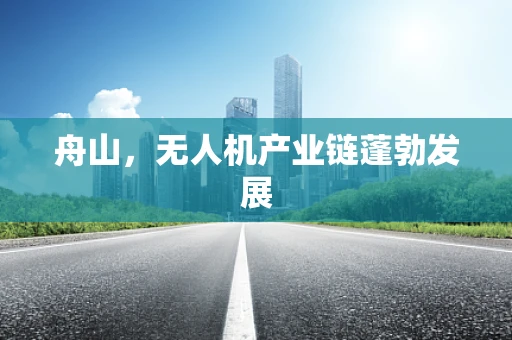 舟山，无人机产业链蓬勃发展