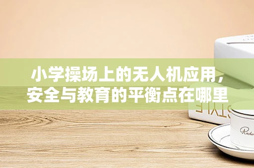 小学操场上的无人机应用，安全与教育的平衡点在哪里？