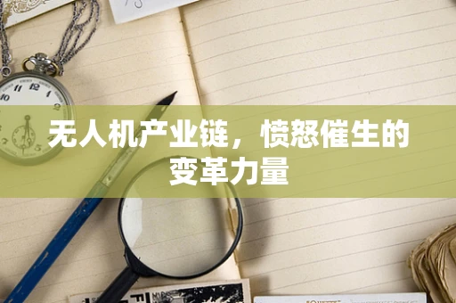 无人机产业链，愤怒催生的变革力量